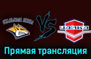Стальные Лисы — Чайка 24 ноября 2023 года прямая трансляция