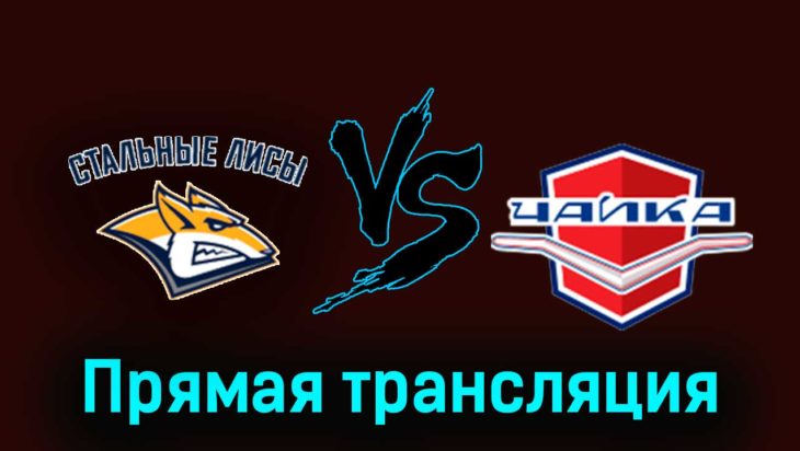 Стальные Лисы — Чайка 24 ноября 2023 года прямая трансляция Стальные Лисы — Чайка 24 ноября 2023 года прямая трансляция