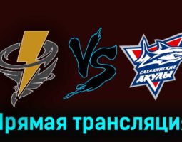 Тайфун — Сахалинские Акулы 21 ноября 2023 года прямая трансляция