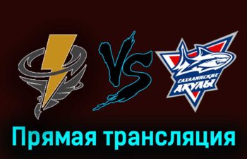 Тайфун — Сахалинские Акулы 21 ноября 2023 года прямая трансляция