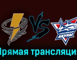 Тайфун — Сахалинские Акулы 22 ноября 2023 года прямая трансляция