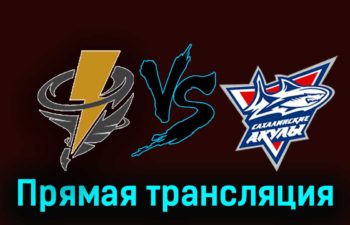 Тайфун — Сахалинские Акулы 22 ноября 2023 года прямая трансляция