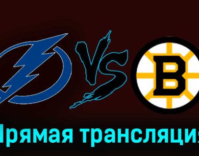 Тампа-Бэй Лайтнинг — Бостон Брюинз 21 ноября 2023 года прямая трансляция