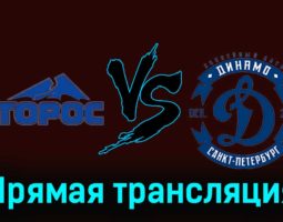 Торос — Динамо СПб 27 ноября 2023 года прямая трансляция