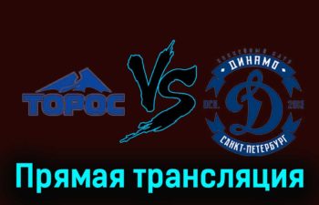 Торос — Динамо СПб 27 ноября 2023 года прямая трансляция