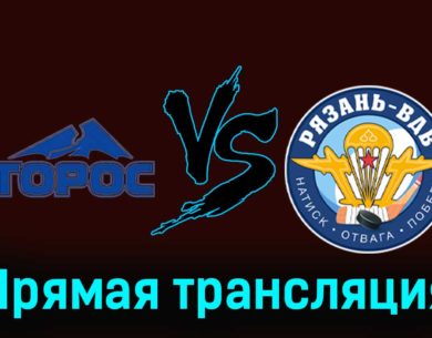 Торос — Рязань-ВДВ 25 ноября 2023 года прямая трансляция