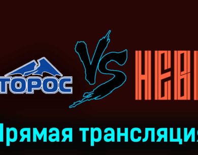 Торос — СКА-Нева 29 ноября 2023 года прямая трансляция
