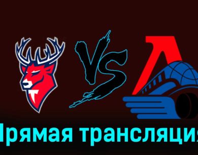 Торпедо — Локомотив 29 ноября 2023 года видеообзор матча