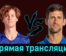 Янник Синнер — Новак Джокович 19 ноября 2023 года прямая трансляция