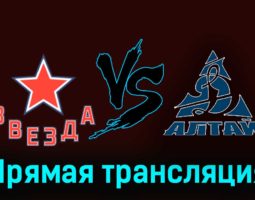 Звезда — Динамо-Алтай 25 ноября 2023 года прямая трансляция