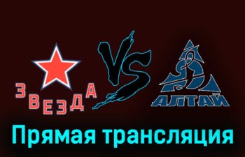 Звезда — Динамо-Алтай 25 ноября 2023 года прямая трансляция