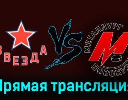 Звезда — Металлург Нк 27 ноября 2023 года прямая трансляция