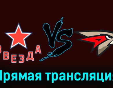 Звезда — Омские Крылья 29 ноября 2023 года прямая трансляция