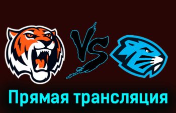 Амурские Тигры — Динамо-Шинник 6 декабря 2023 года прямая трансляция