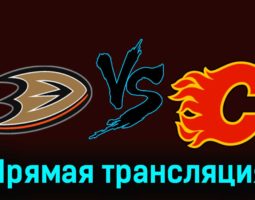 Анахайм Дакс — Калгари Флэймз 22 декабря 2023 года прямая трансляция