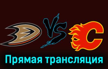 Анахайм Дакс — Калгари Флэймз 22 декабря 2023 года прямая трансляция