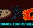 Анахайм Дакс — Калгари Флэймз 22 декабря 2023 года прямая трансляция