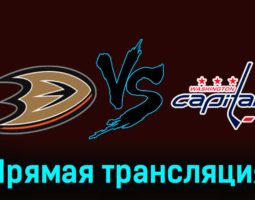 Анахайм Дакс — Вашингтон Кэпиталз 1 декабря 2023 года прямая трансляция