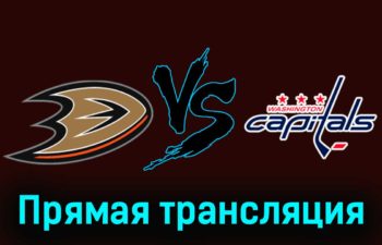 Анахайм Дакс — Вашингтон Кэпиталз 1 декабря 2023 года прямая трансляция