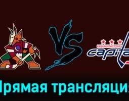 Аризона Койотс — Вашингтон Кэпиталз 5 декабря 2023 года прямая трансляция
