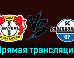 Байер — Падерборн 07 6 декабря 2023 года прямая трансляция