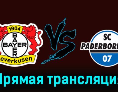 Байер — Падерборн 07 6 декабря 2023 года прямая трансляция