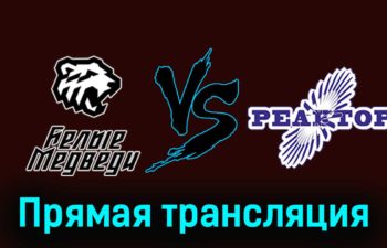 Белые Медведи — Реактор 6 декабря 2023 года прямая трансляция