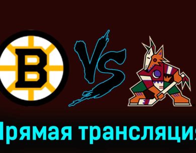 Бостон Брюинз — Аризона Койотс 9 декабря 2023 года прямая трансляция