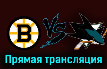 Бостон Брюинз — Сан-Хосе Шаркс 1 декабря 2023 года прямая трансляция