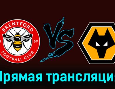 Брентфорд — Вулверхэмптон 27 декабря 2023 года прямая трансляция