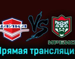 Чайка — Ирбис 5 декабря 2023 года прямая трансляция