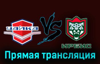 Чайка — Ирбис 5 декабря 2023 года прямая трансляция