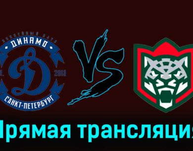 Динамо СПб — Барс 3 декабря 2023 года прямая трансляция