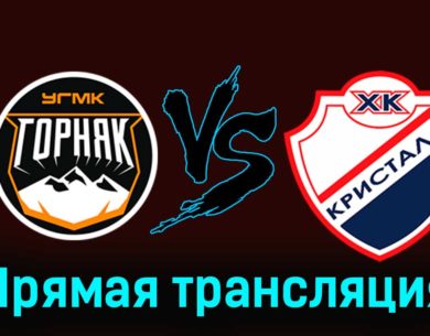 Горняк-УГМК — Кристалл 8 декабря 2023 года прямая трансляция