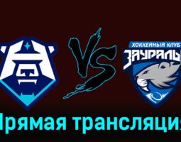ХК Норильск — Зауралье 12 декабря 2023 года прямая трансляция