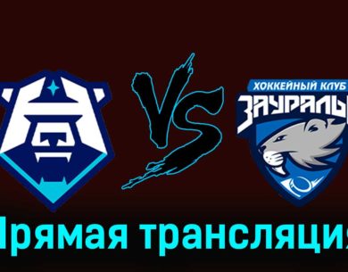 ХК Норильск — Зауралье 12 декабря 2023 года прямая трансляция