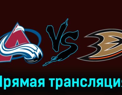 Колорадо Эвеланш — Анахайм Дакс 6 декабря 2023 года прямая трансляция