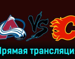 Колорадо Эвеланш — Калгари Флэймз 12 декабря 2023 года прямая трансляция
