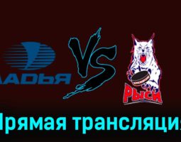 Ладья — Красноярские Рыси 6 декабря 2023 года прямая трансляция