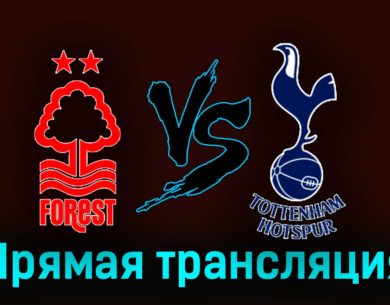 Ноттингем Форест — Тоттенхэм Хотспур 15 декабря 2023 года прямая трансляция