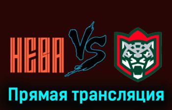 СКА-Нева — Барс 5 декабря 2023 года прямая трансляция