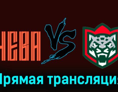 СКА-Нева — Барс 5 декабря 2023 года прямая трансляция