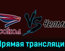Сокол — Челмет 12 декабря 2023 года прямая трансляция