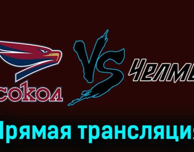 Сокол — Челмет 12 декабря 2023 года прямая трансляция