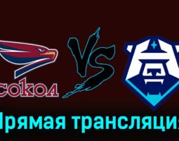 Сокол — ХК Норильск 6 декабря 2023 года прямая трансляция