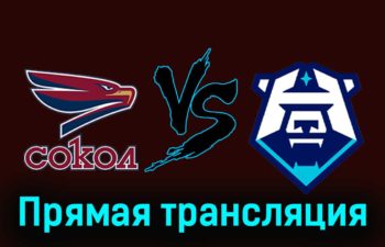 Сокол — ХК Норильск 6 декабря 2023 года прямая трансляция