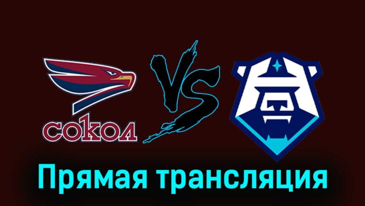Сокол — ХК Норильск 6 декабря 2023 года прямая трансляция