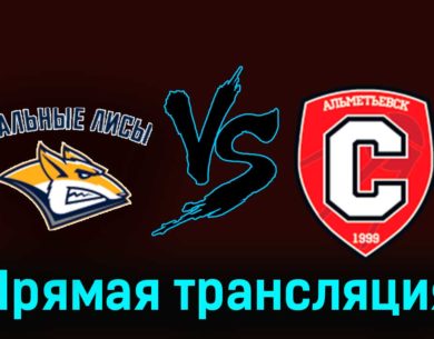 Стальные Лисы — Спутник 6 декабря 2023 года прямая трансляция