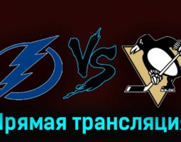 Тампа-Бэй Лайтнинг — Питтсбург Пингвинз 1 декабря 2023 года прямая трансляция
