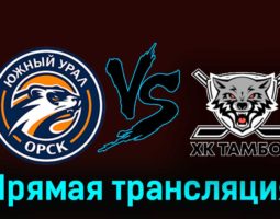 Южный Урал — ХК Тамбов 4 декабря 2023 года прямая трансляция